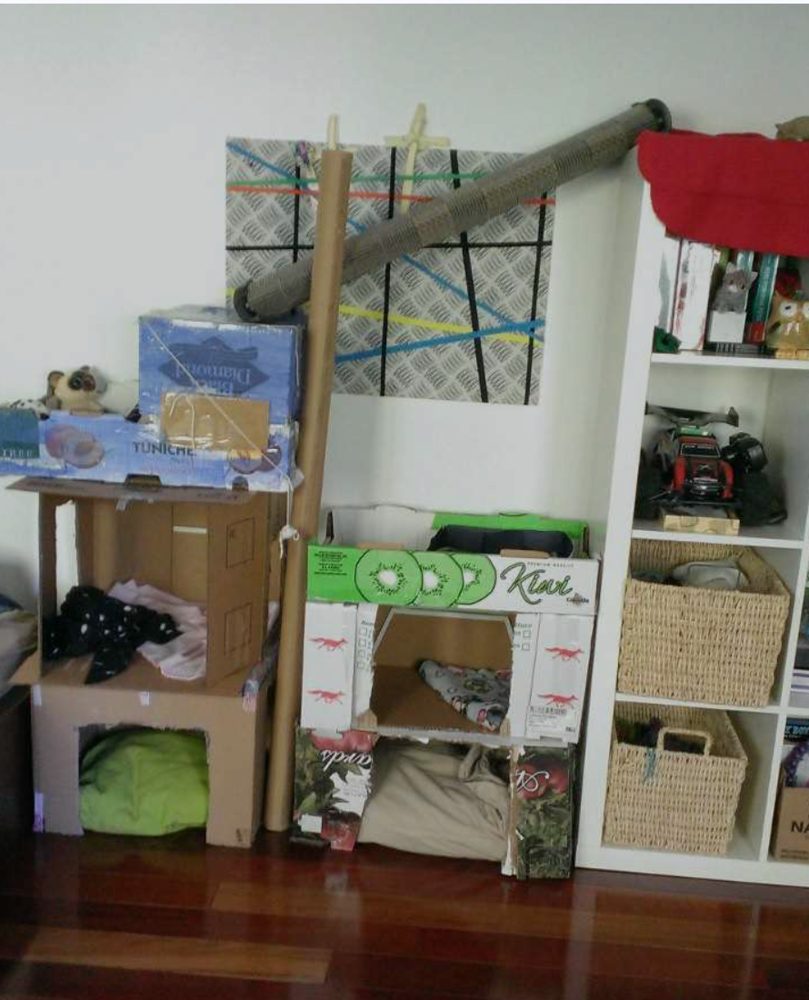cardboard cat houses I built